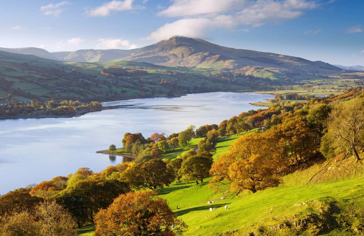 羅平縣九龍河中小河流治理工程